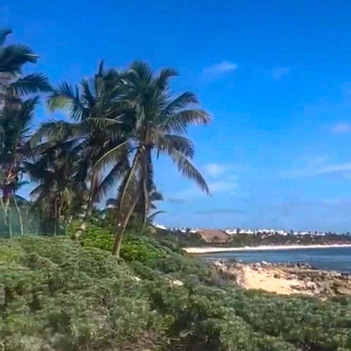 terreno en venta tulum con playa (3)