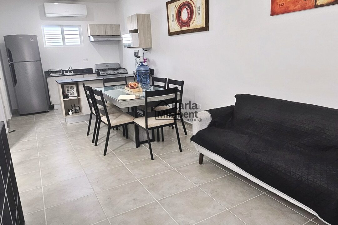 CASA EN RENTA ANDRIA POLIGONO SUR (13)